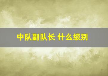 中队副队长 什么级别